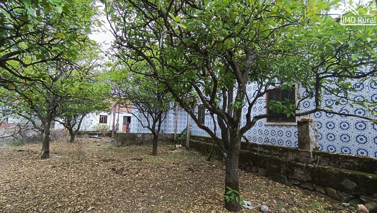 Quinta T4 para Venda em Marvila, Ribeira Santarém, São Salvador, São Nicolau Foto 2