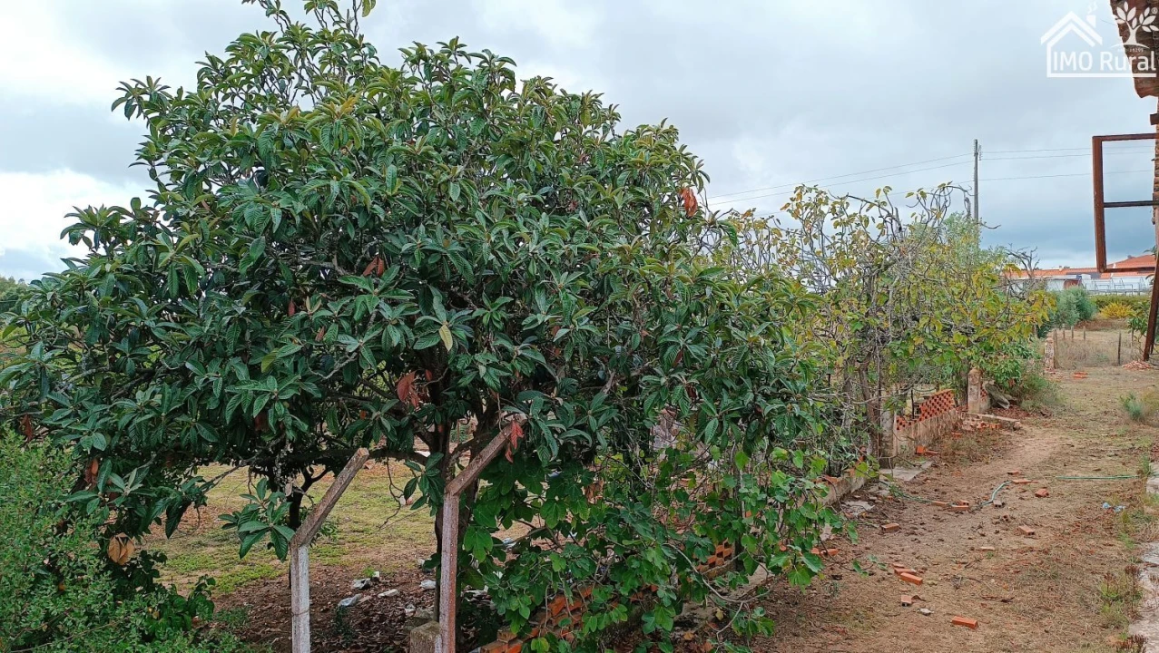 Quinta T4 para Venda em Marvila, Ribeira Santarém, São Salvador, São Nicolau Foto 34