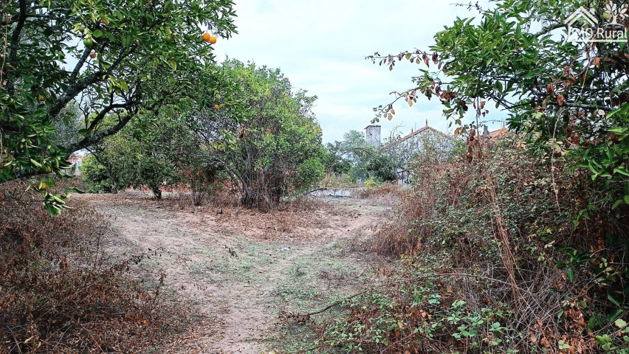 Quinta T4 para Venda em Marvila, Ribeira Santarém, São Salvador, São Nicolau Foto 38