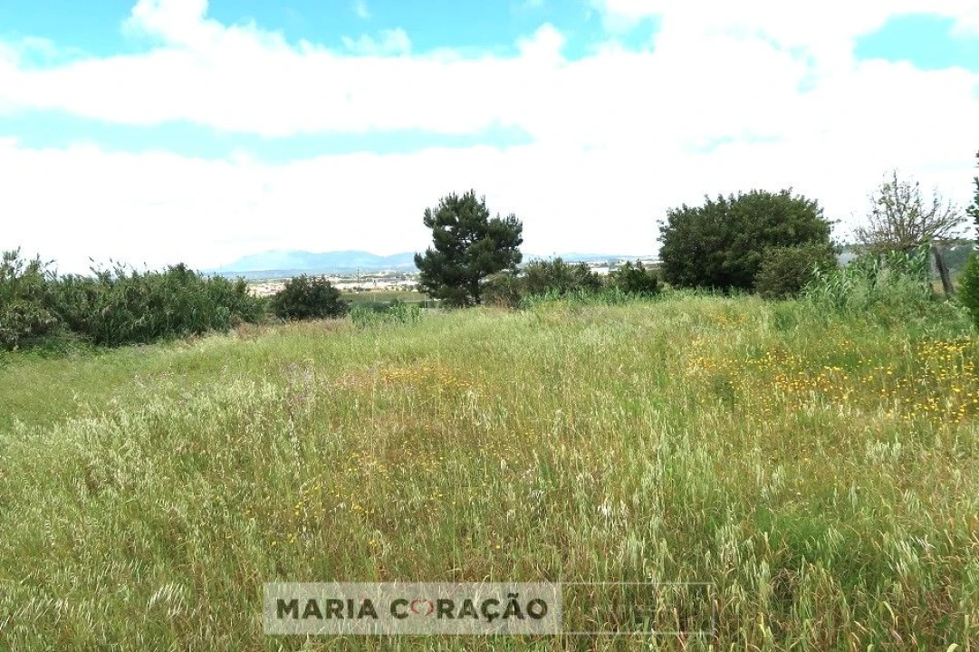 Terreno para Venda em Aveiras de Cima Foto 5