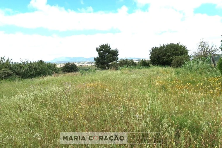 Terreno para Venda em Aveiras de Cima Foto 5