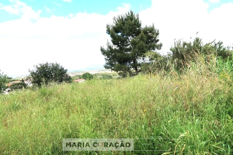 Terreno para Venda em Aveiras de Cima Foto 6