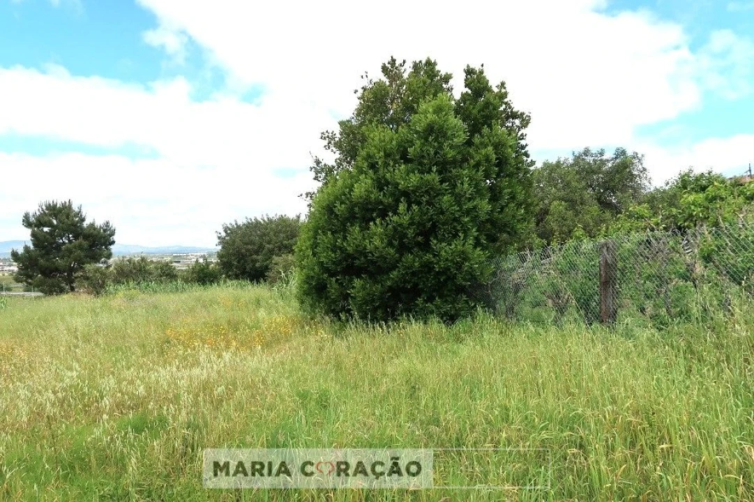 Terreno para Venda em Aveiras de Cima Foto 1