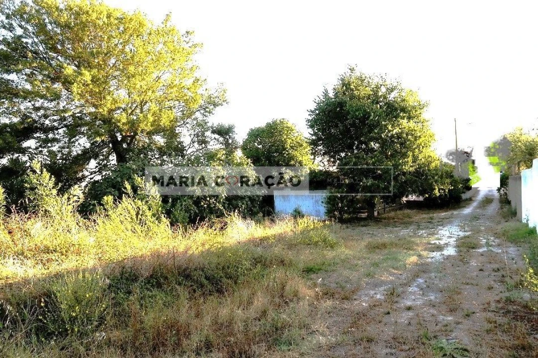 Terreno para Venda em Aveiras de Baixo Foto 8