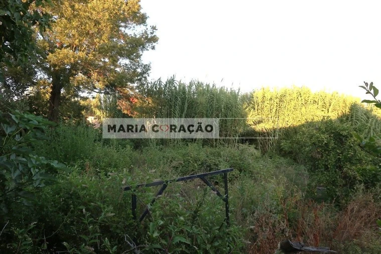 Terreno para Venda em Aveiras de Baixo Foto 7