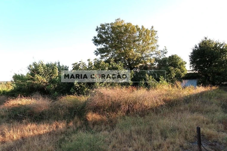 Terreno para Venda em Aveiras de Baixo Foto 3
