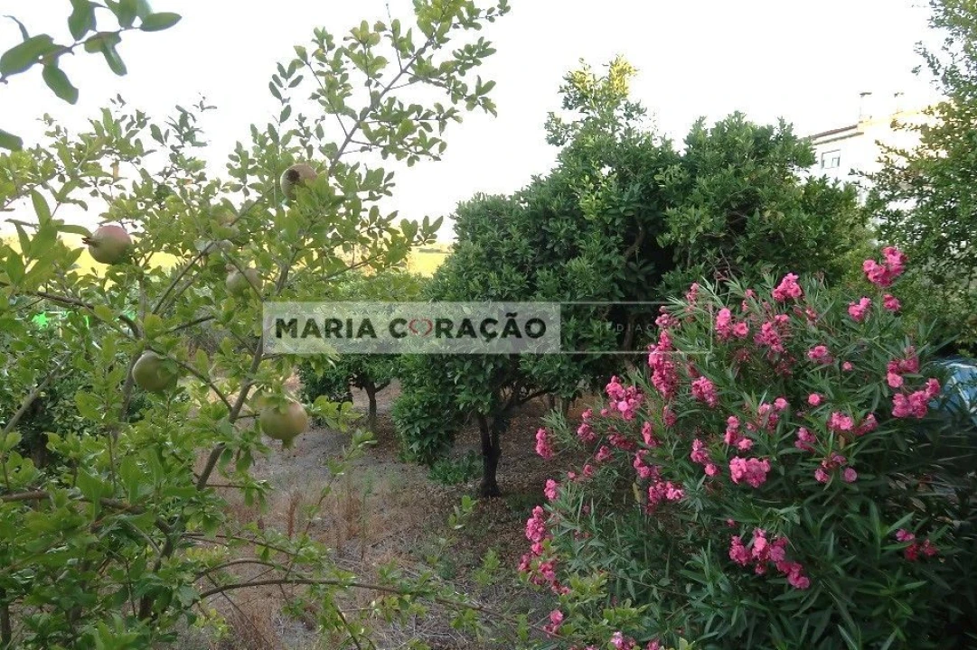 Terreno para Venda em Aveiras de Baixo Foto 1
