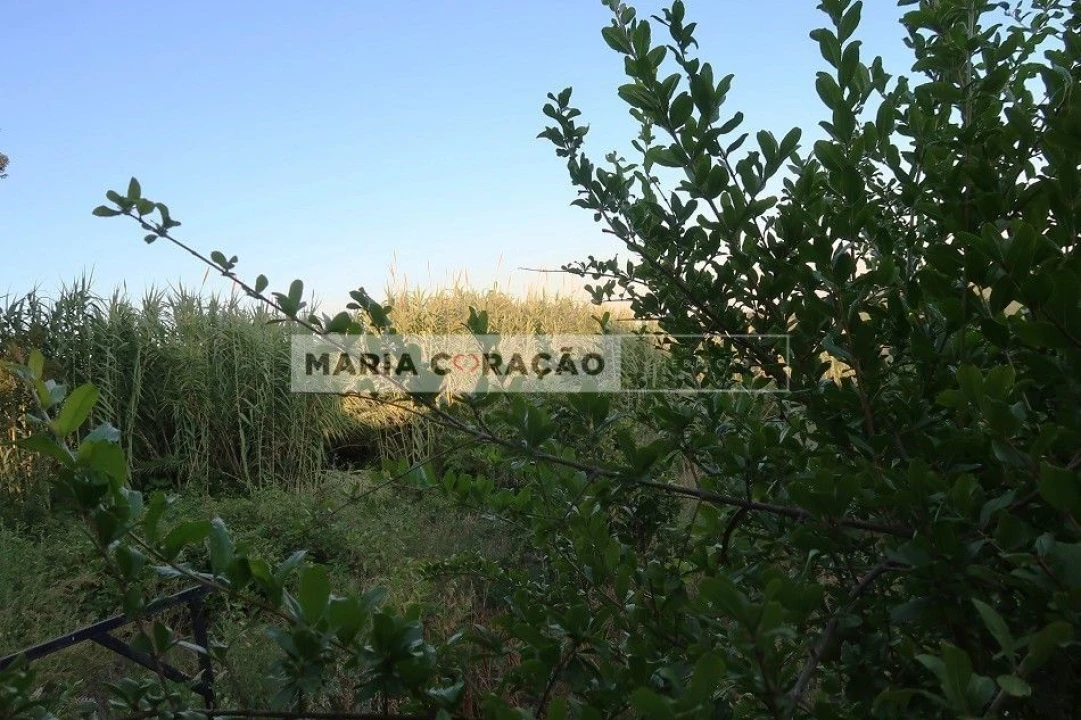 Terreno para Venda em Aveiras de Baixo Foto 6