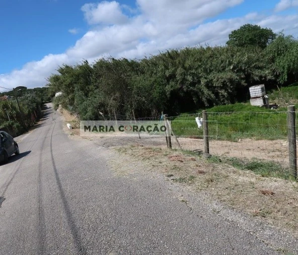 Terreno para Venda em Aveiras de Cima Foto 5