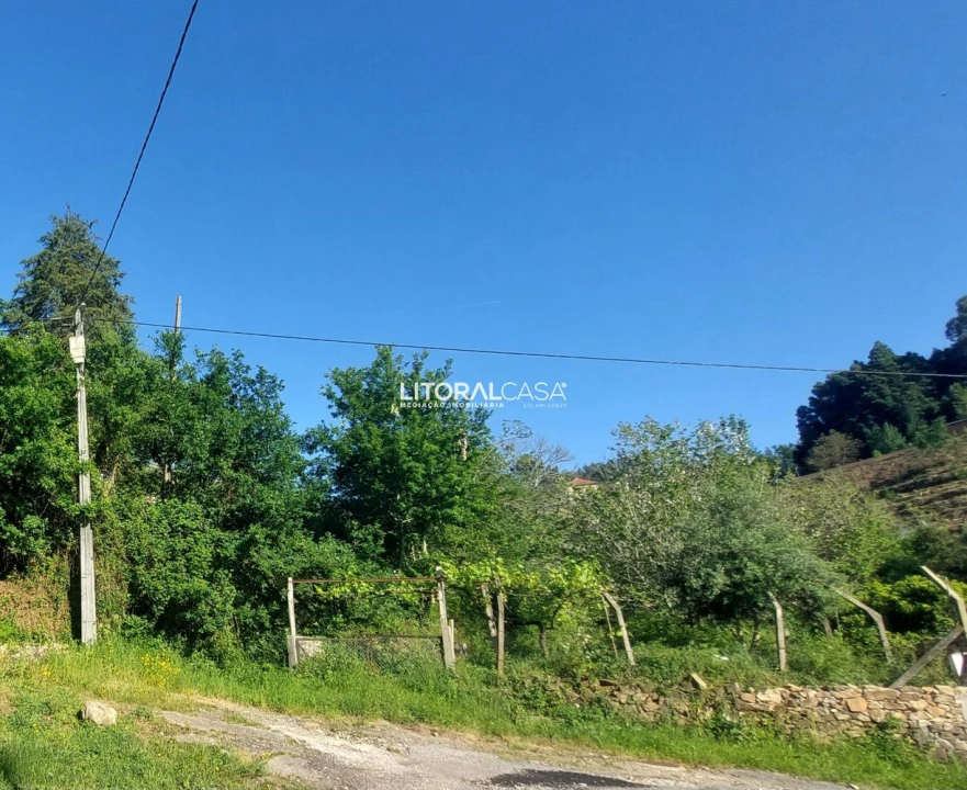 Terreno para Venda em Cedrim e Paradela Foto 19