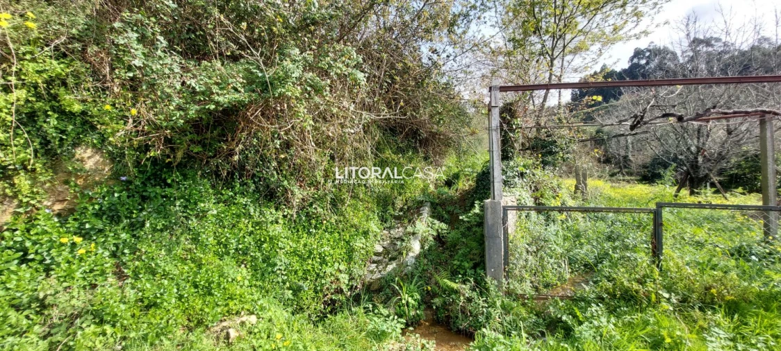 Terreno para Venda em Cedrim e Paradela Foto 3