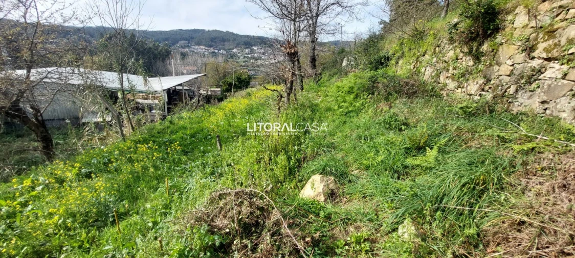 Terreno para Venda em Cedrim e Paradela Foto 12
