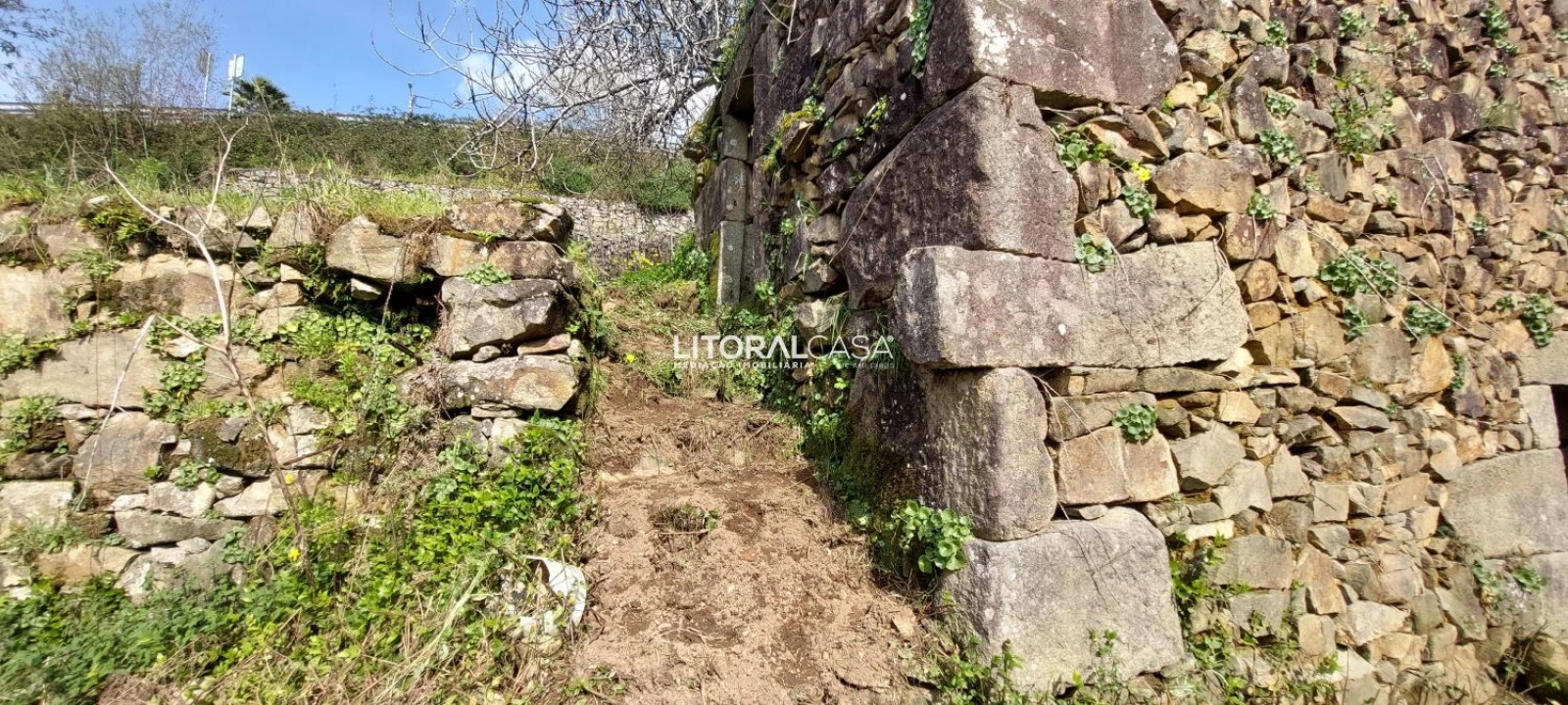 Terreno para Venda em Cedrim e Paradela Foto 6