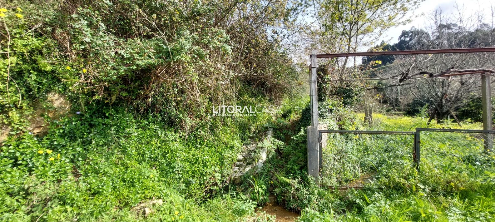 Terreno para Venda em Cedrim e Paradela Foto 3