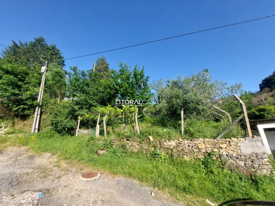 Terreno para Venda em Cedrim e Paradela Foto 20
