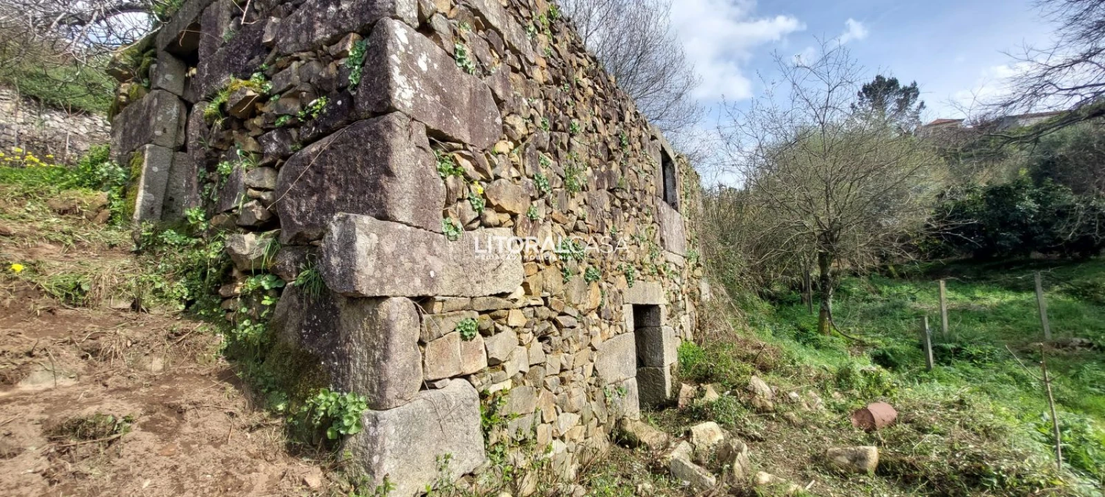 Terreno para Venda em Cedrim e Paradela Foto 7
