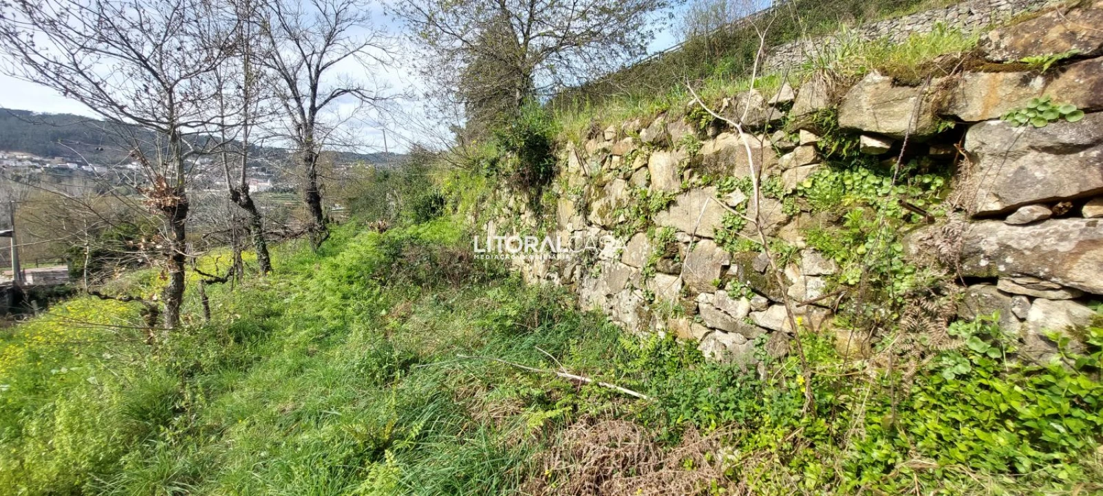 Terreno para Venda em Cedrim e Paradela Foto 11