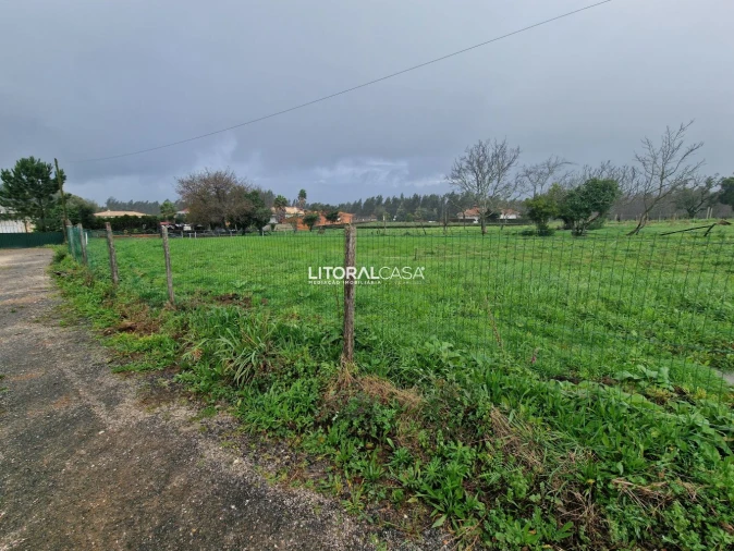 Terreno para Venda em Préstimo e Macieira de Alcoba Foto 12