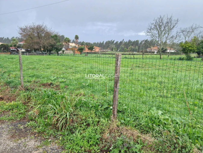 Terreno para Venda em Préstimo e Macieira de Alcoba Foto 9