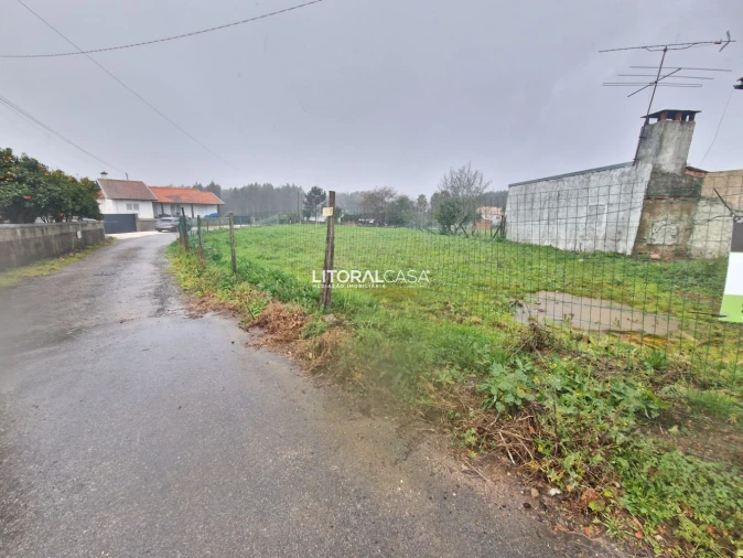 Terreno para Venda em Préstimo e Macieira de Alcoba Foto 5