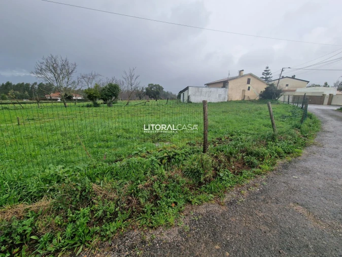 Terreno para Venda em Préstimo e Macieira de Alcoba Foto 11