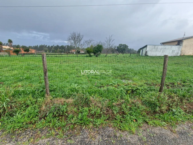 Terreno para Venda em Préstimo e Macieira de Alcoba Foto 10