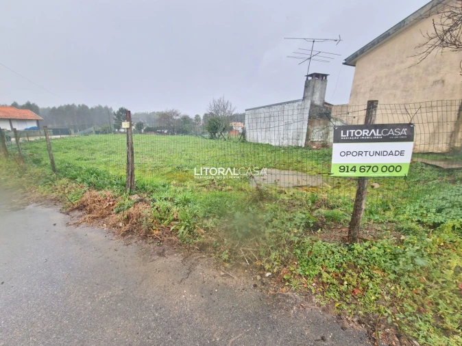 Terreno para Venda em Préstimo e Macieira de Alcoba Foto 2