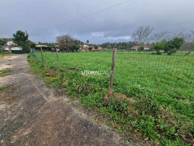 Terreno para Venda em Préstimo e Macieira de Alcoba Foto 6