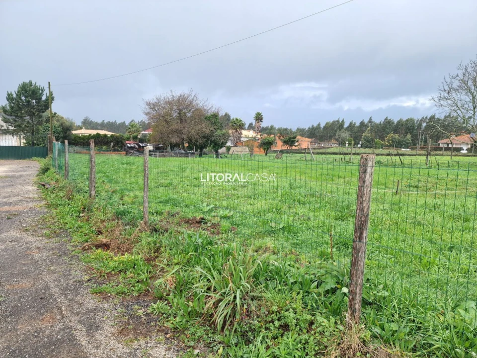 Terreno para Venda em Préstimo e Macieira de Alcoba Foto 7