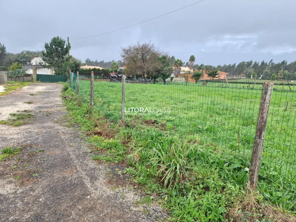 Terreno para Venda em Préstimo e Macieira de Alcoba Foto 8
