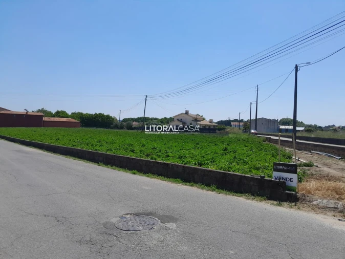 Terreno para Venda em Bustos, Troviscal e Mamarrosa Foto 6