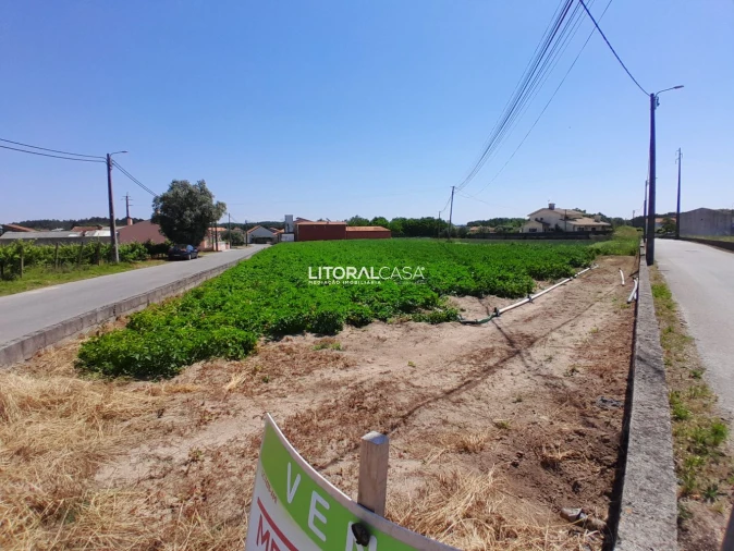 Terreno para Venda em Bustos, Troviscal e Mamarrosa Foto 12