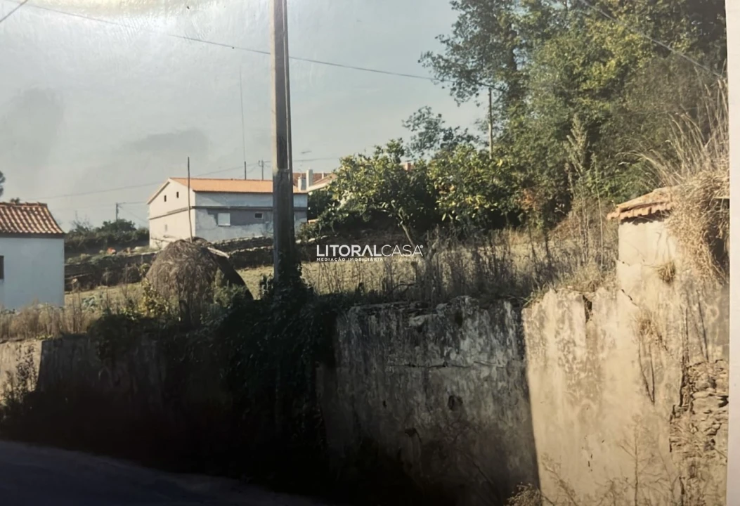 Terreno para Venda em Angeja Foto 3