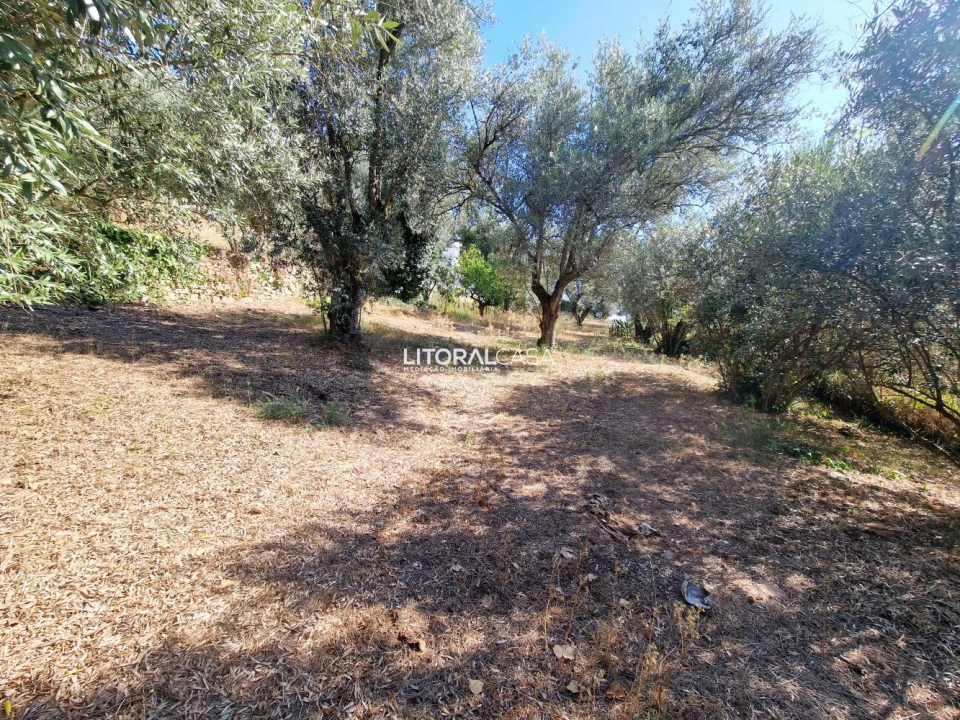 Moradia T9 para Venda em Sé Nova, Santa Cruz, Almedina e São Bartolomeu Foto 36