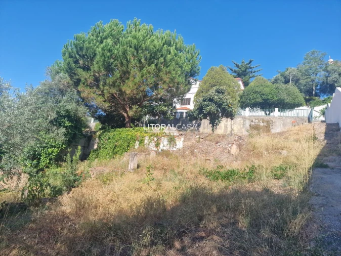 Moradia T9 para Venda em Sé Nova, Santa Cruz, Almedina e São Bartolomeu Foto 34