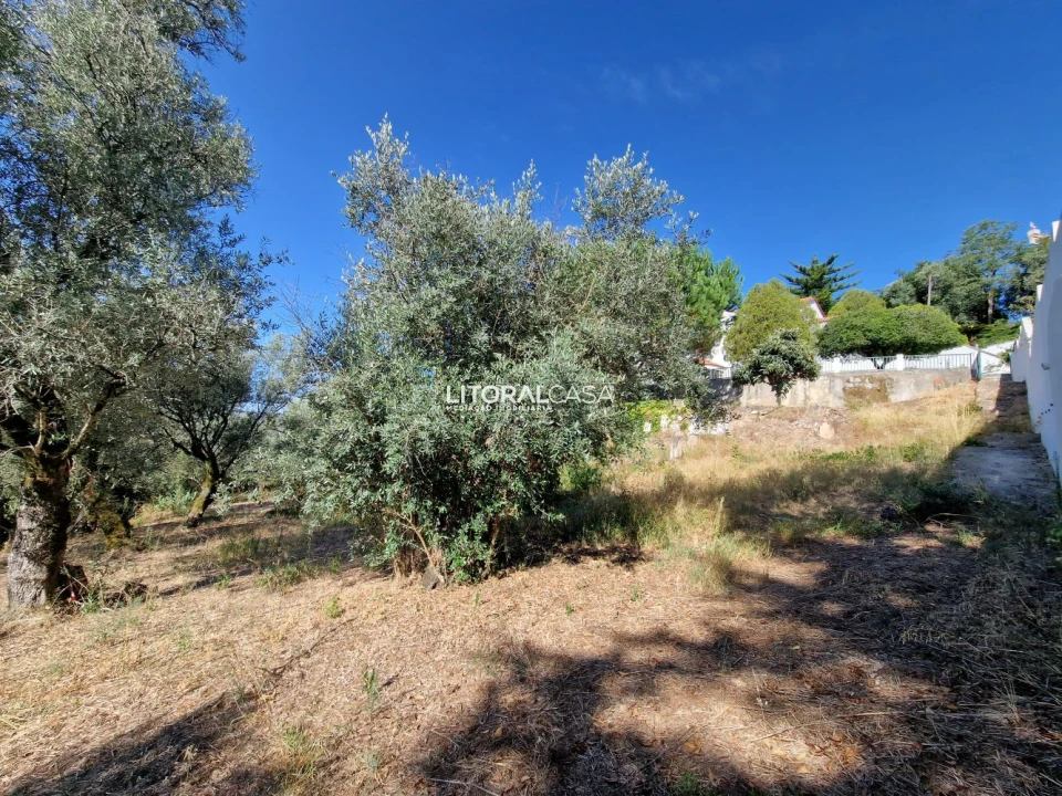 Moradia T9 para Venda em Sé Nova, Santa Cruz, Almedina e São Bartolomeu Foto 35