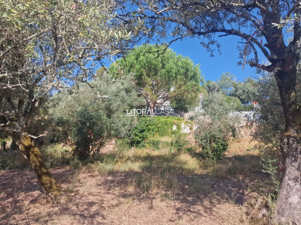 Moradia T9 para Venda em Sé Nova, Santa Cruz, Almedina e São Bartolomeu Foto 37