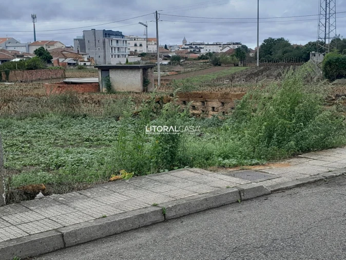 Terreno para Venda em Oiã Foto 7