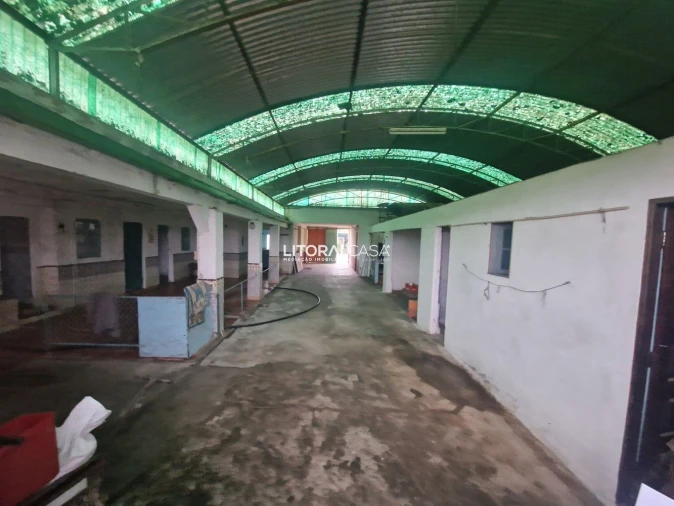 Moradia T3 para Venda em Ponte de Vagos e Santa Catarina Foto 4