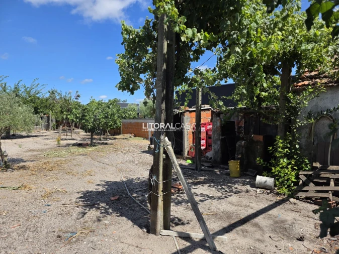 Moradia T3 para Venda em Ponte de Vagos e Santa Catarina Foto 23