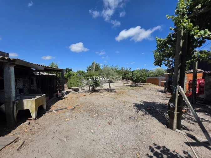 Moradia T3 para Venda em Ponte de Vagos e Santa Catarina Foto 28