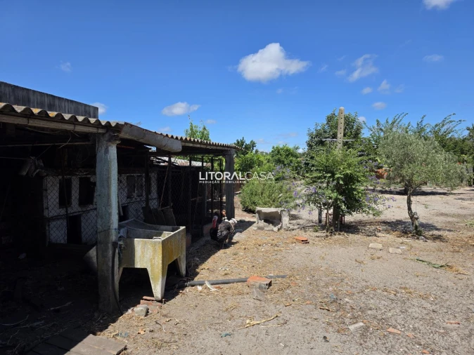 Moradia T3 para Venda em Ponte de Vagos e Santa Catarina Foto 24