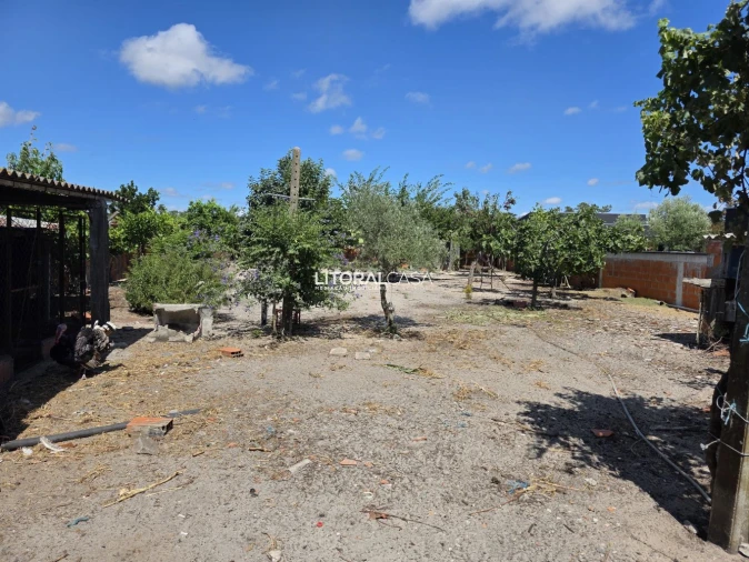 Moradia T3 para Venda em Ponte de Vagos e Santa Catarina Foto 22