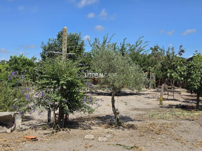 Moradia T3 para Venda em Ponte de Vagos e Santa Catarina Foto 25
