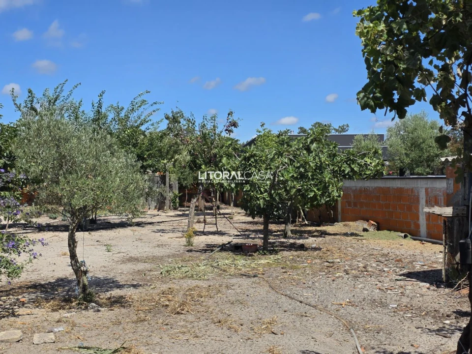 Moradia T3 para Venda em Ponte de Vagos e Santa Catarina Foto 26