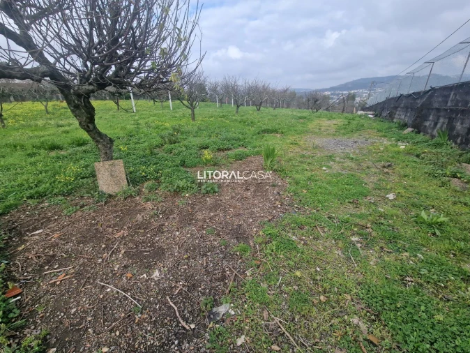 Loja para Venda em São João da Madeira Foto 23