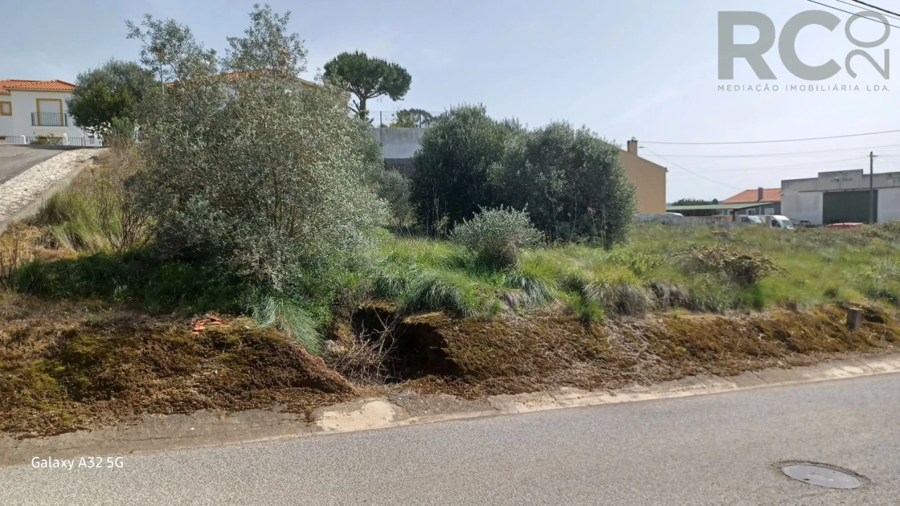 Terreno para Venda em Olhalvo Foto 3