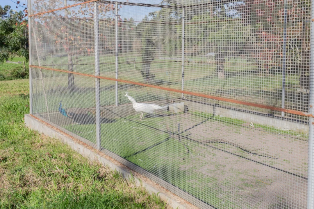 Quinta T0 para Venda em Quiaios Foto 31