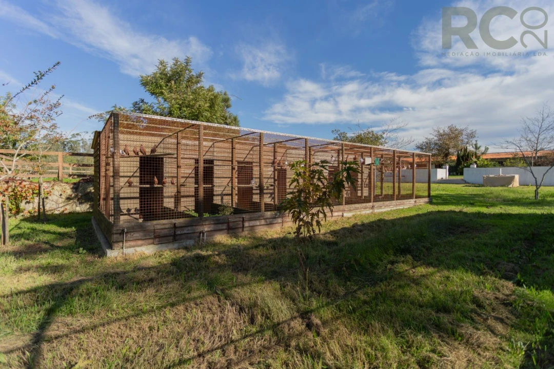 Quinta T0 para Venda em Quiaios Foto 26