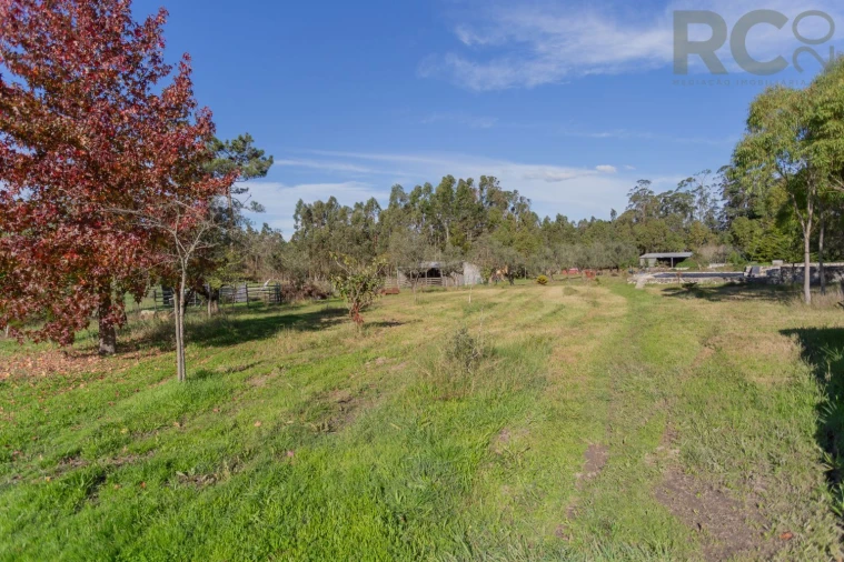 Quinta T0 para Venda em Quiaios Foto 37